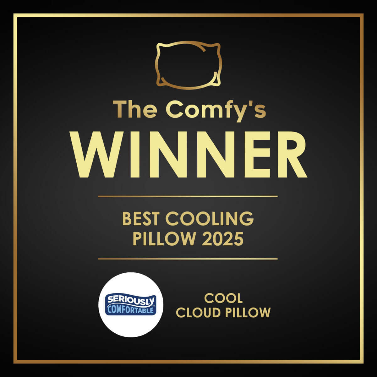 Seriously Comfortable	Cool Cloud Comfort Pillow | UK's Leading Pillow Specialist | UK's Lowest Prices | Featuring UK's Best Brands including TEMPUR®, Dunlopillo, Hypnos, Silentnight, Sealy, Seriously Comfortable & More