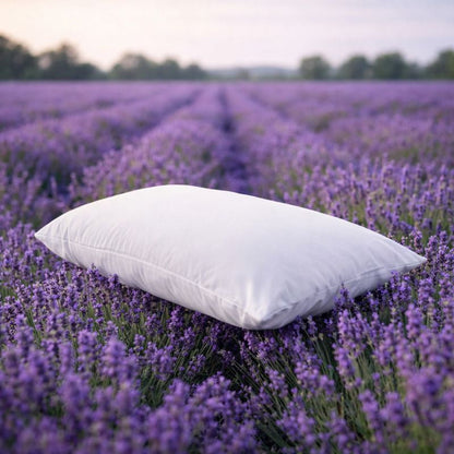 White pillow in a field of lavender

